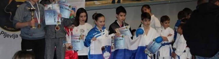 INTERNACIONALNI KARATE TURNIR »PLJEVLJA OPEN« ČRNA GORA