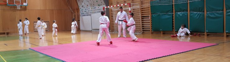 TRENING IN PODELITEV PRIZNANJA
