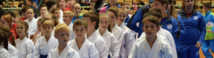 MEDNARODNI TURNIR POSTOJNA OPEN