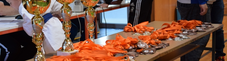 11. POKAL OBČINE OPLOTNICA