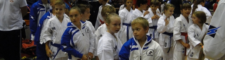 15. MEDNARODNI TURNIR KRANJ OPEN