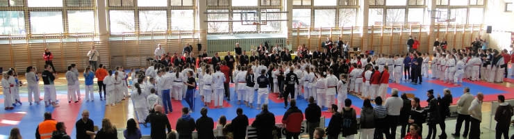 10. POKAL NESTLA ŽGANKA