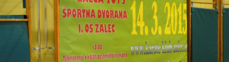 13. MEDNARODNI POKAL ŽALCA 2015