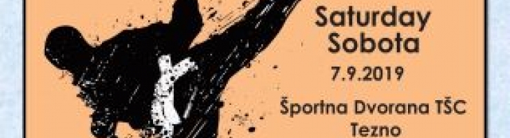 9. MARIBOR OPEN - MEDNARODNI TURNIR