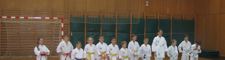 POLAGANJE IZPITOV ZA PASOVE